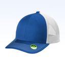 C112ECO_trueroyalwhite